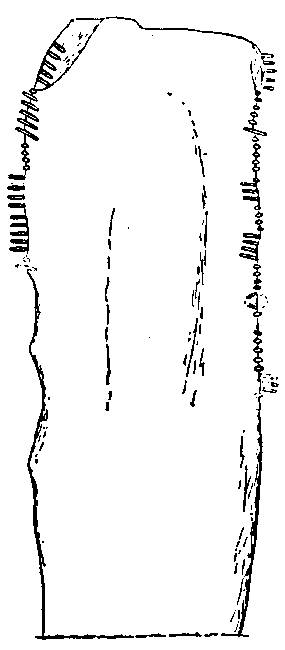 Fig. 007, w01 