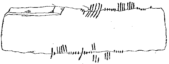 Fig. 012, w04 