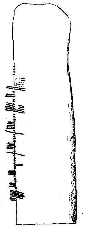 Fig. 087, w01 