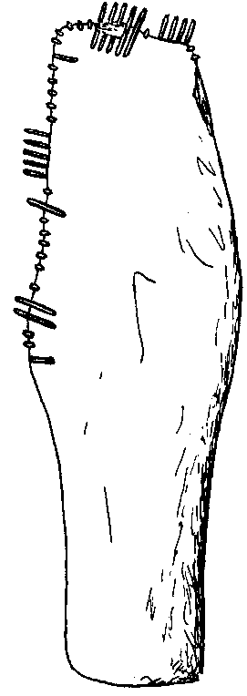 Fig. 089, w01 