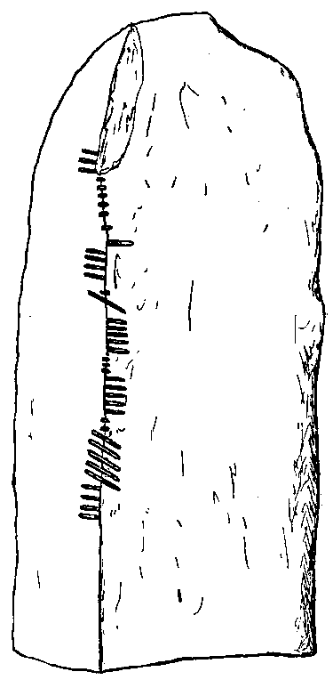 Fig. 090, w01 