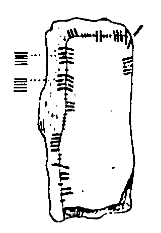 Fig. 097, w01 