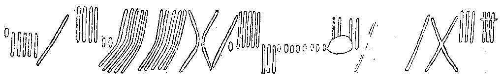 Fig. 104, w02 