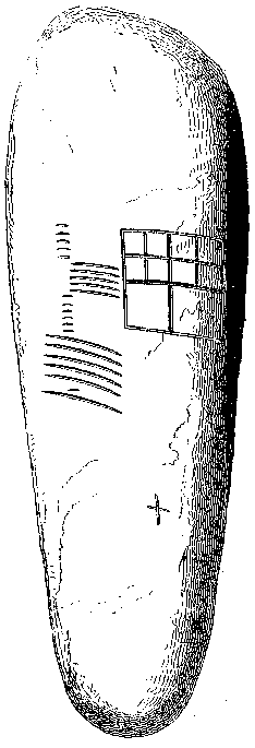 Fig. 188, w01 