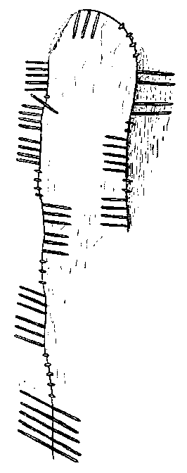 Fig. 211, w04 