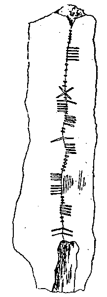 Fig. 216, w01 