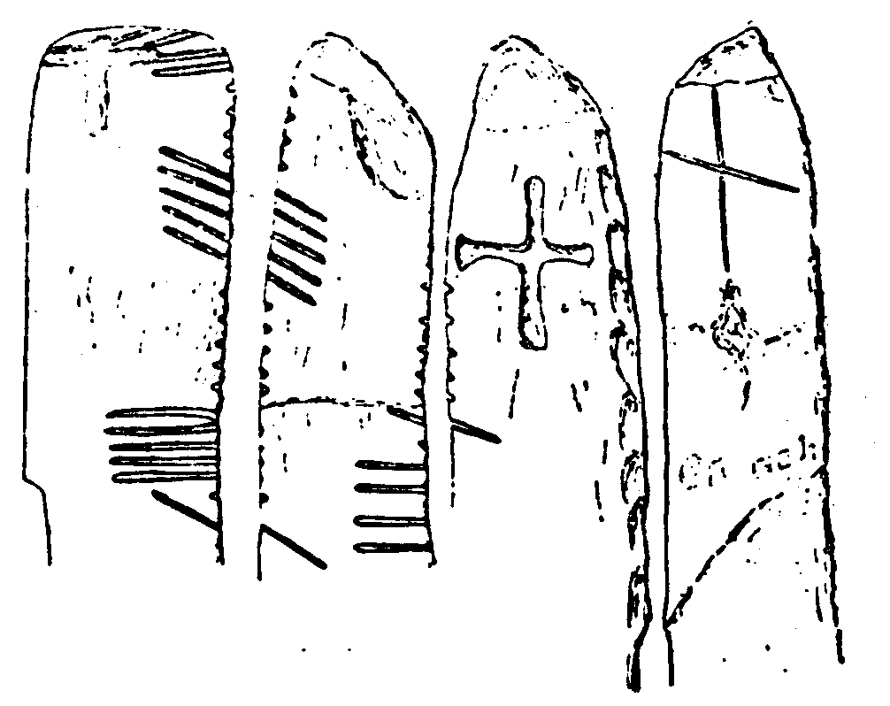 Fig. 217, w02 