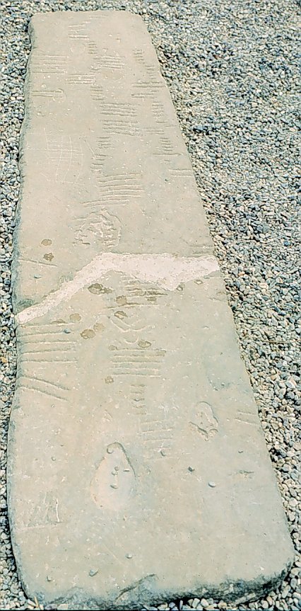 Fig. 241, 002 